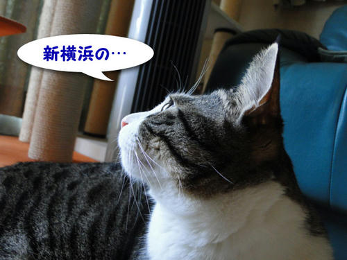 新横の・・・