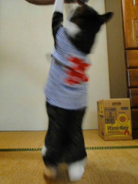 早くよこせー