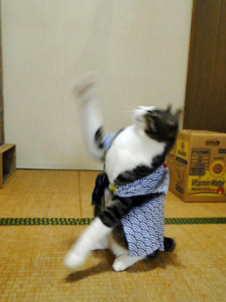ちょいちょい♪