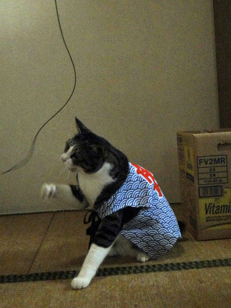 がぁー
