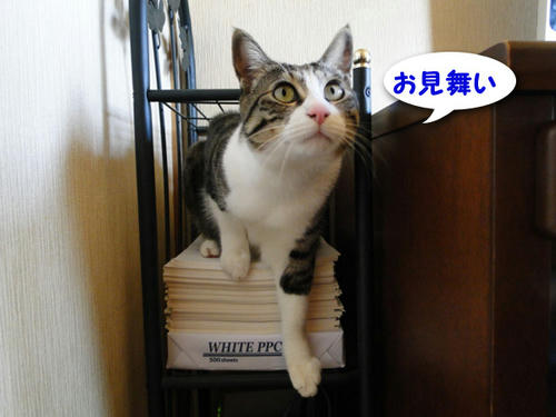 お見舞い