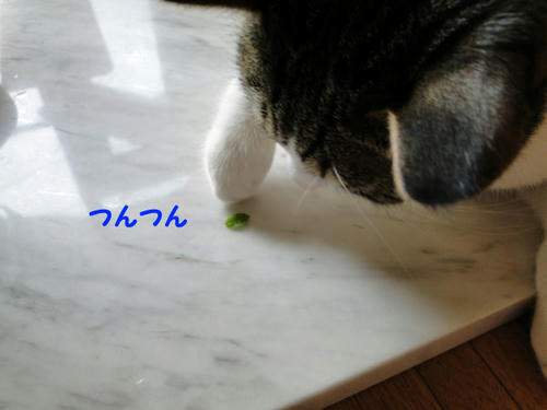 つんつん