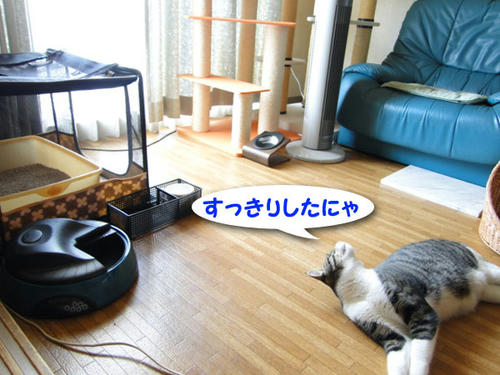 すっきりしたにゃ
