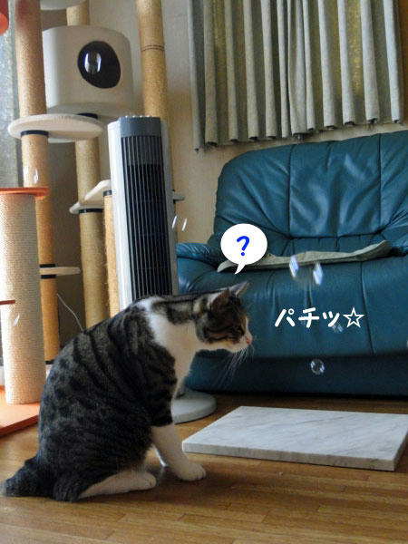 ？