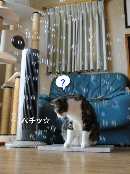 ？