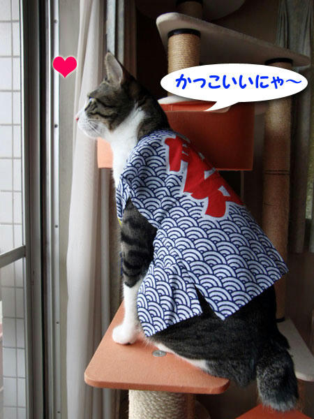 カッコイイにゃ～