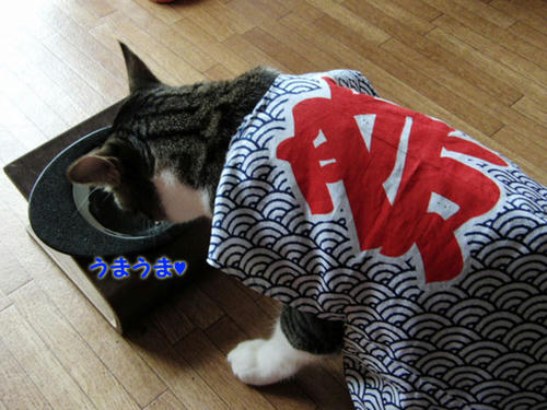 うまうま♪