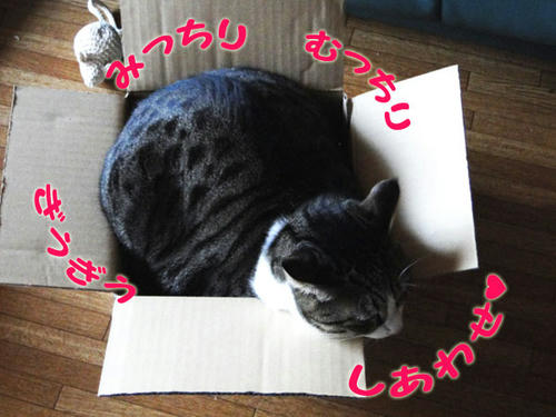みっちみちの幸せ♪