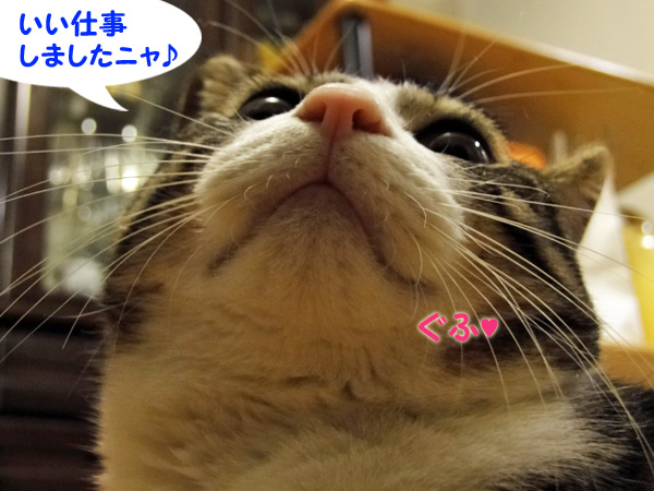 いい仕事しましたにゃ♪