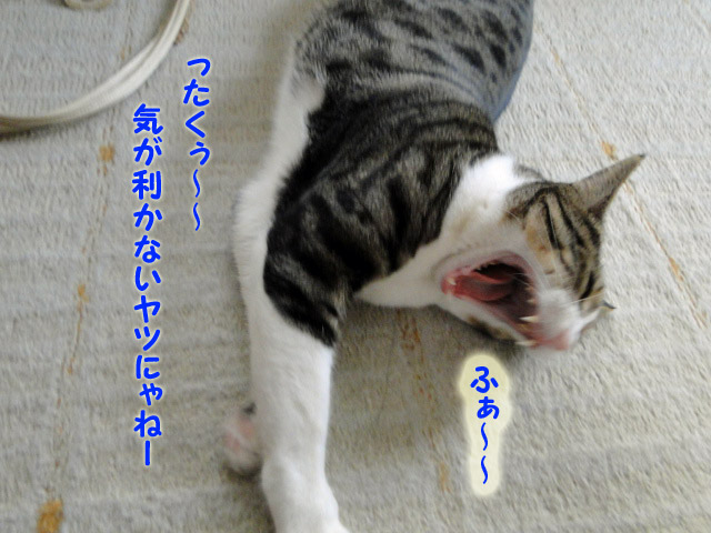 気が利かない
