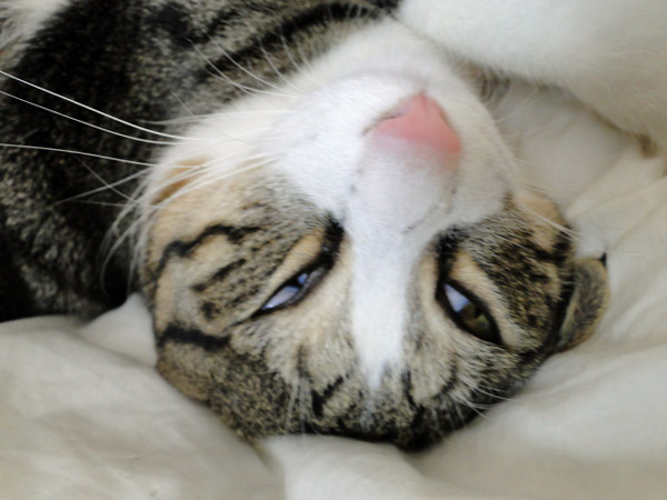 Zzzz...