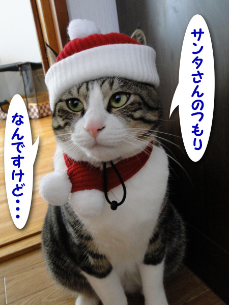 サンタのつもりなんですけど・・・