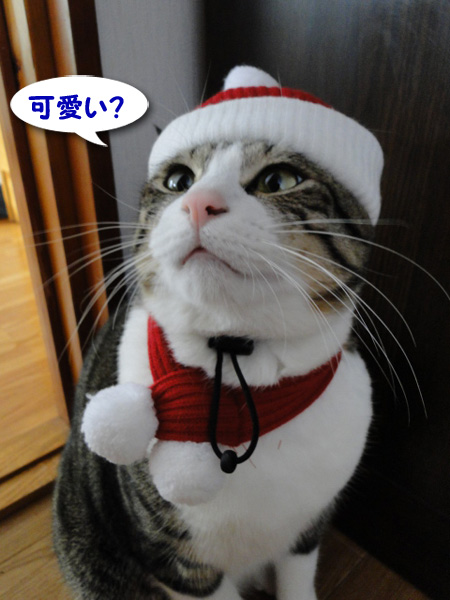 かわいい？