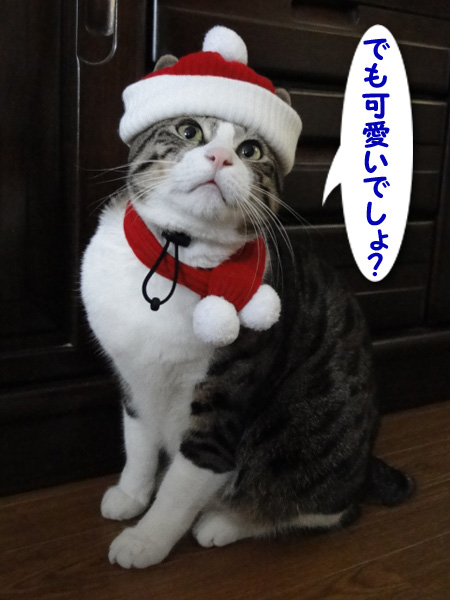 でも、可愛いでしょ？