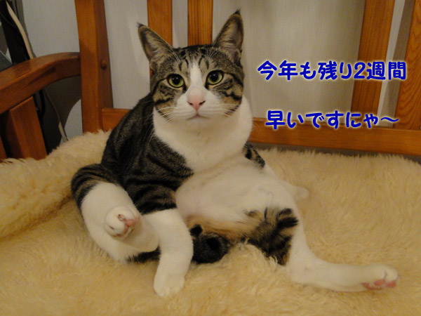 今年もあと2週間余り