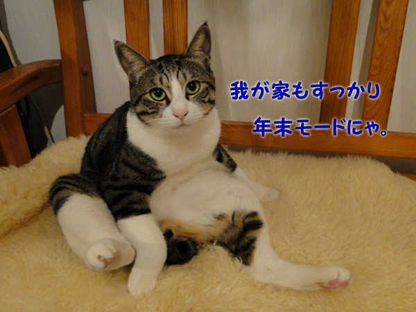 我が家も年末モード