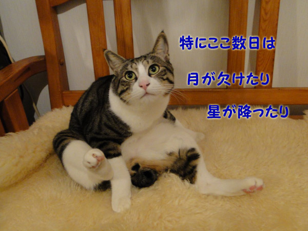 月食とか流星群とか・・・