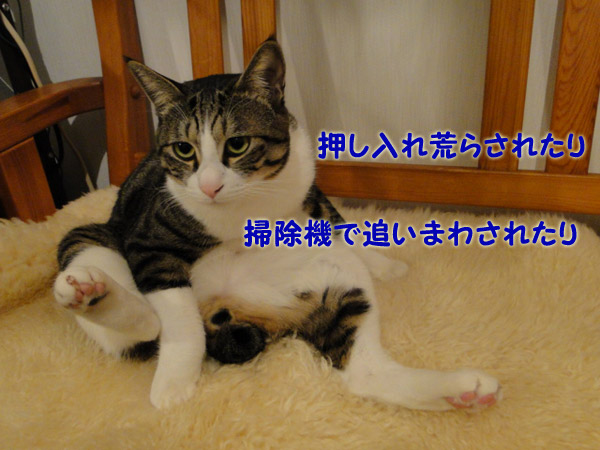 押し入れ荒らされたり・・・