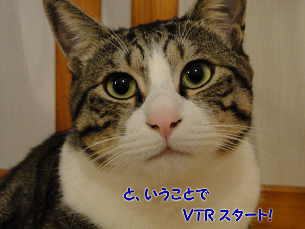 と、いうことで・・・