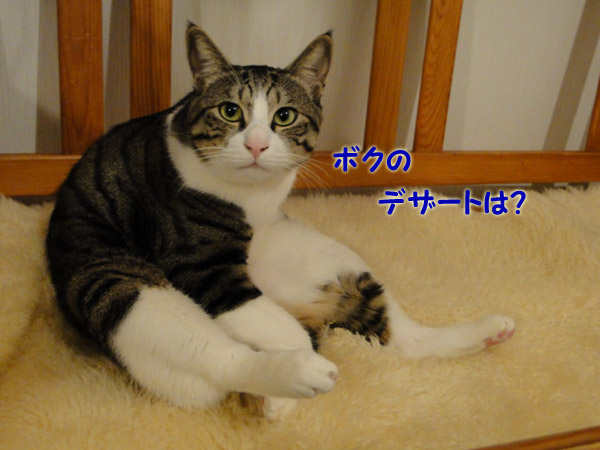 ボクのデザート、まだ？