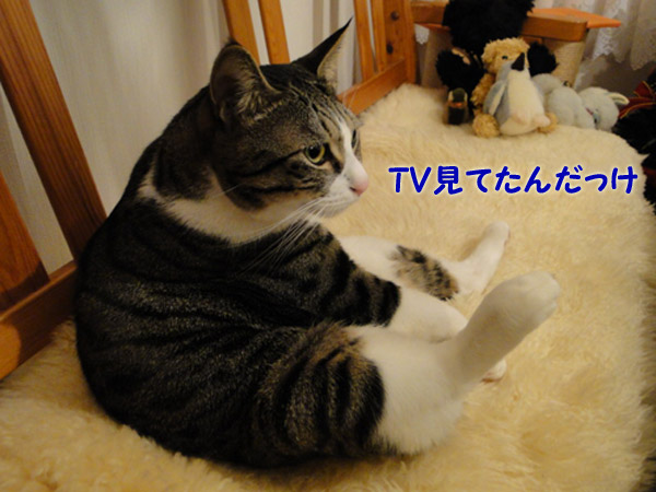 TV見てたんだっけ