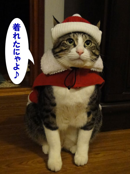 ニャンタクロース