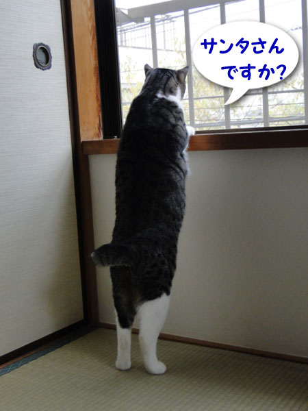 サンタさんですか？