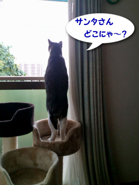 サンタさん、どこ～？