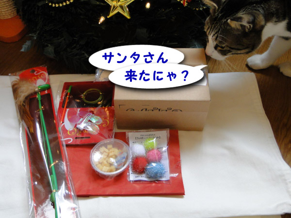 サンタさん、来たにゃ？