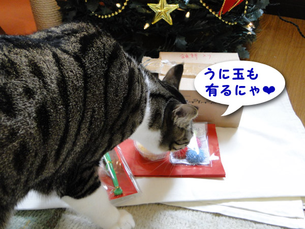 ウニ玉も有るにゃ