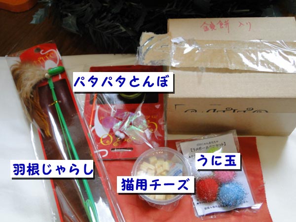 だいふく君へのXmasプレゼント