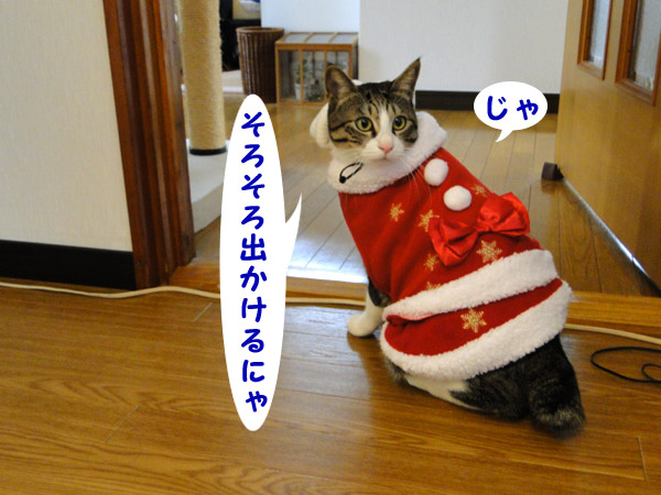 行ってきますにゃ♪