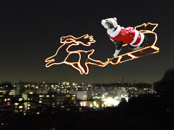 だいふくサンタ