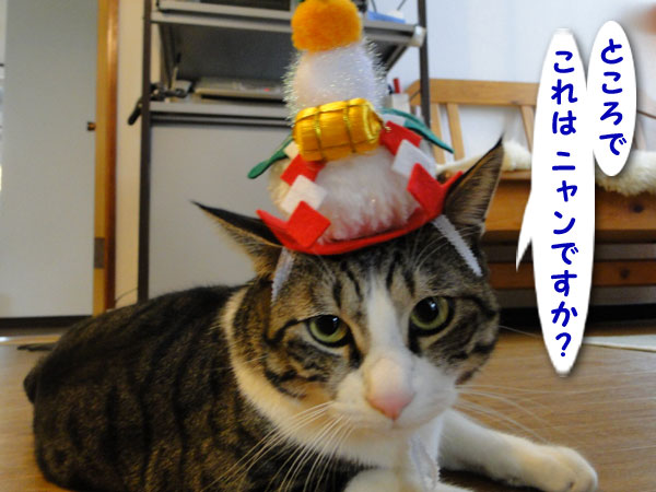 ところで、これは何？