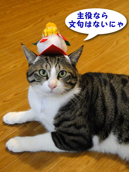 主役なら文句は無いにゃ♪