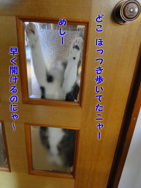 めしー!!