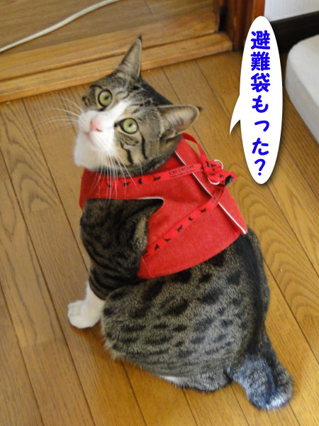 避難袋もった?