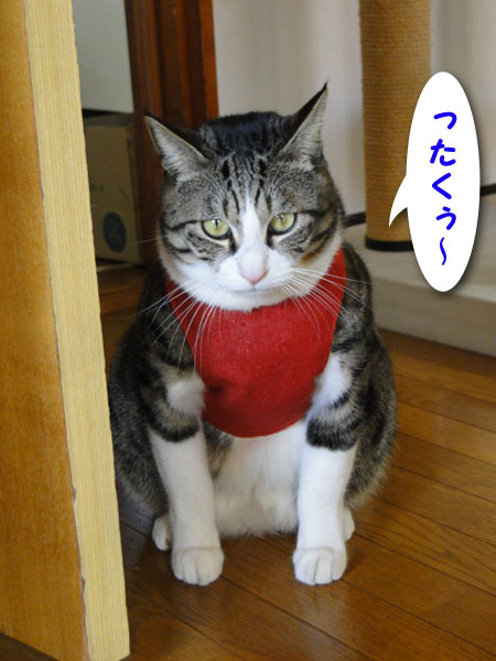 ったくぅ~