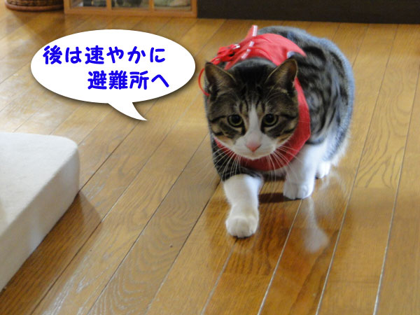 あとは避難所へ・・・