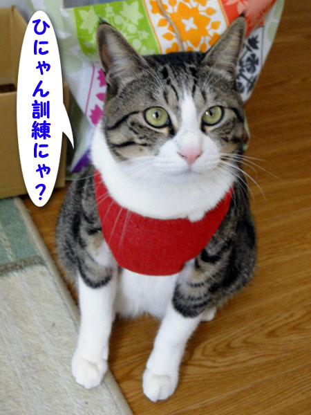 避難訓練?