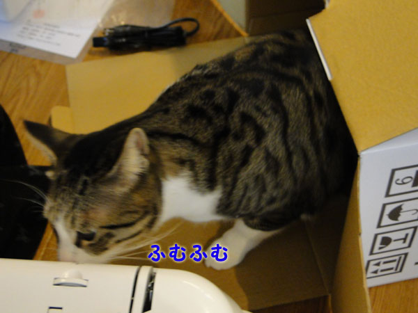 ふむふむ