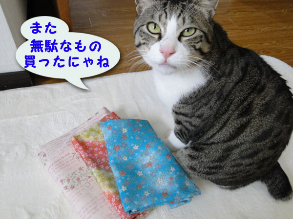 また無駄なもの買ったにゃねw