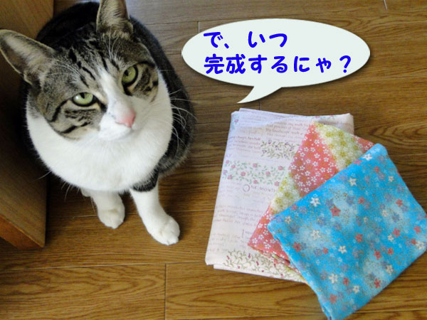 いつ完成するにゃ?