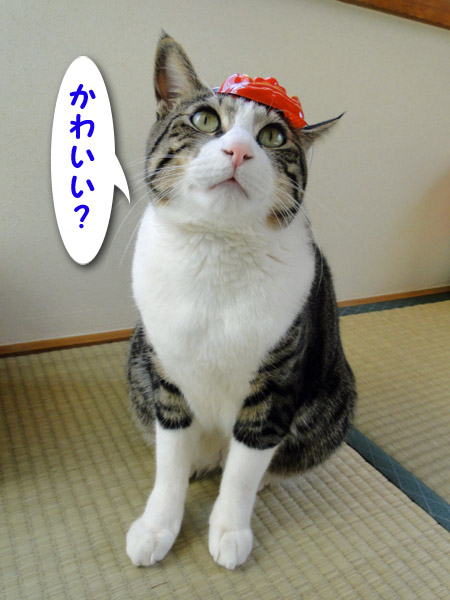 かわいい?