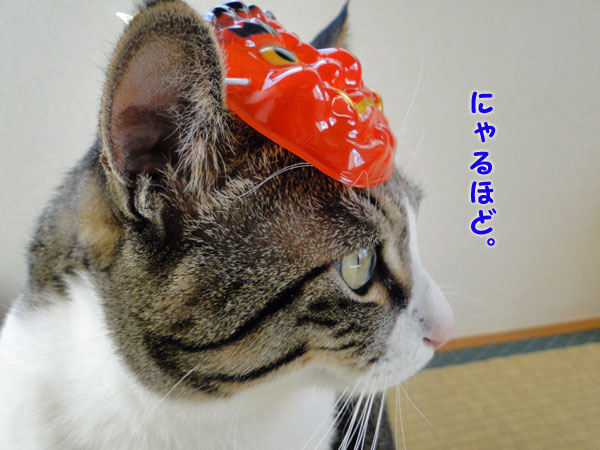 にゃるほど