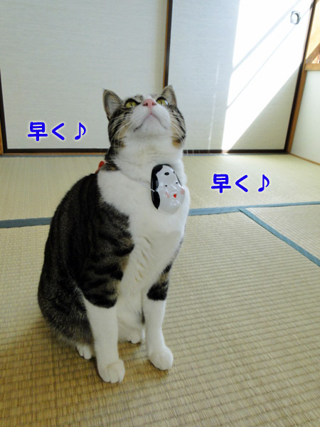 早く♪早く♪