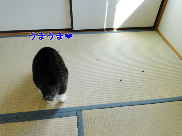 うまうま♪