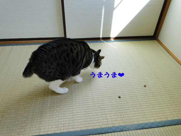 うまうま♪