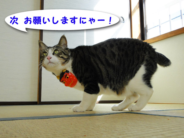 次おねがいしまーす