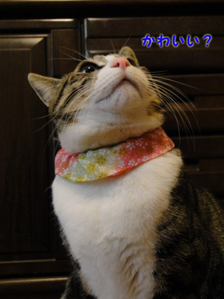 可愛い?